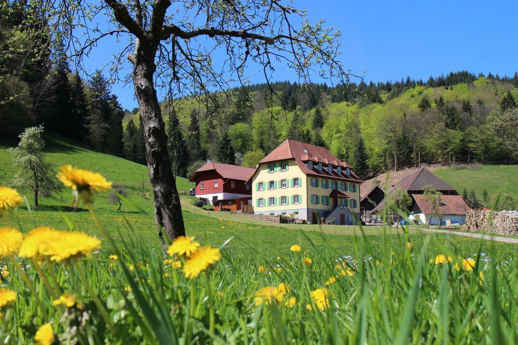 Offenburger Hof Appartement Schuttertal Buitenkant foto