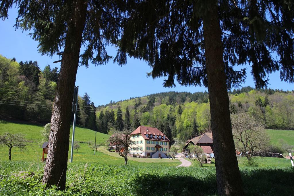 Offenburger Hof Appartement Schuttertal Buitenkant foto