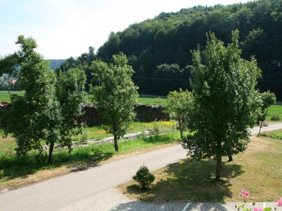 Offenburger Hof Appartement Schuttertal Buitenkant foto
